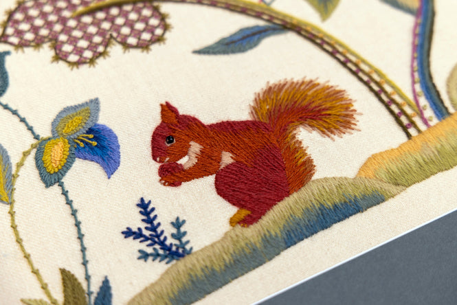 Intermediate Class (PT22) - Greedy Squirrel - 7-8 February 2026