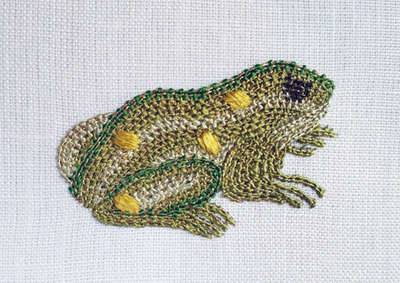 Shakespeare's Elizabethan Frog - Online Course with Mandy Ewing