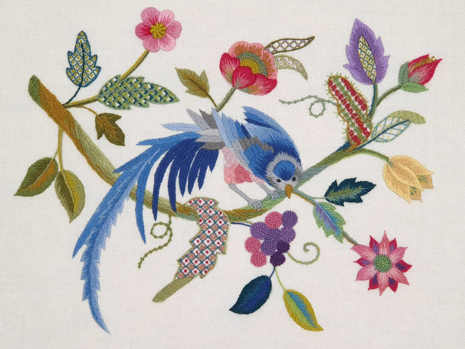 Advanced Class (PT23) - Blue Bird - 10-12 February 2026