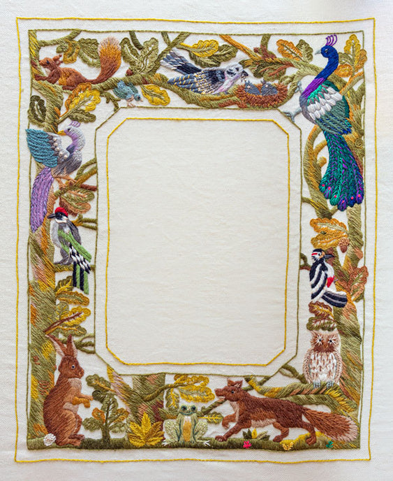 Aesop's Mirror Frame