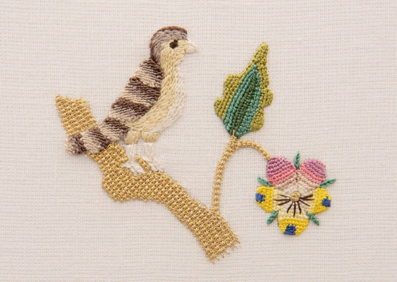 Shakespeare's Little Bird Kit