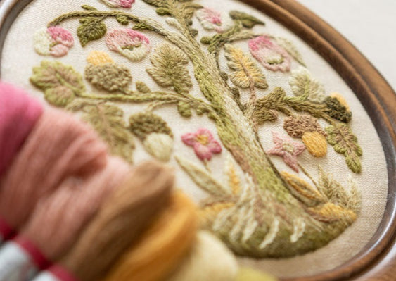 Elizabethan Oakapple Tree Kit