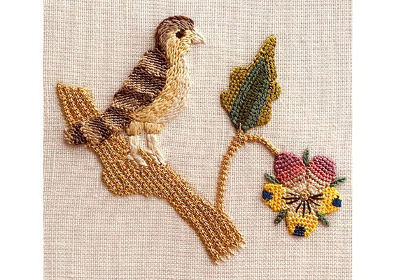 Shakespeare's Little Bird Kit