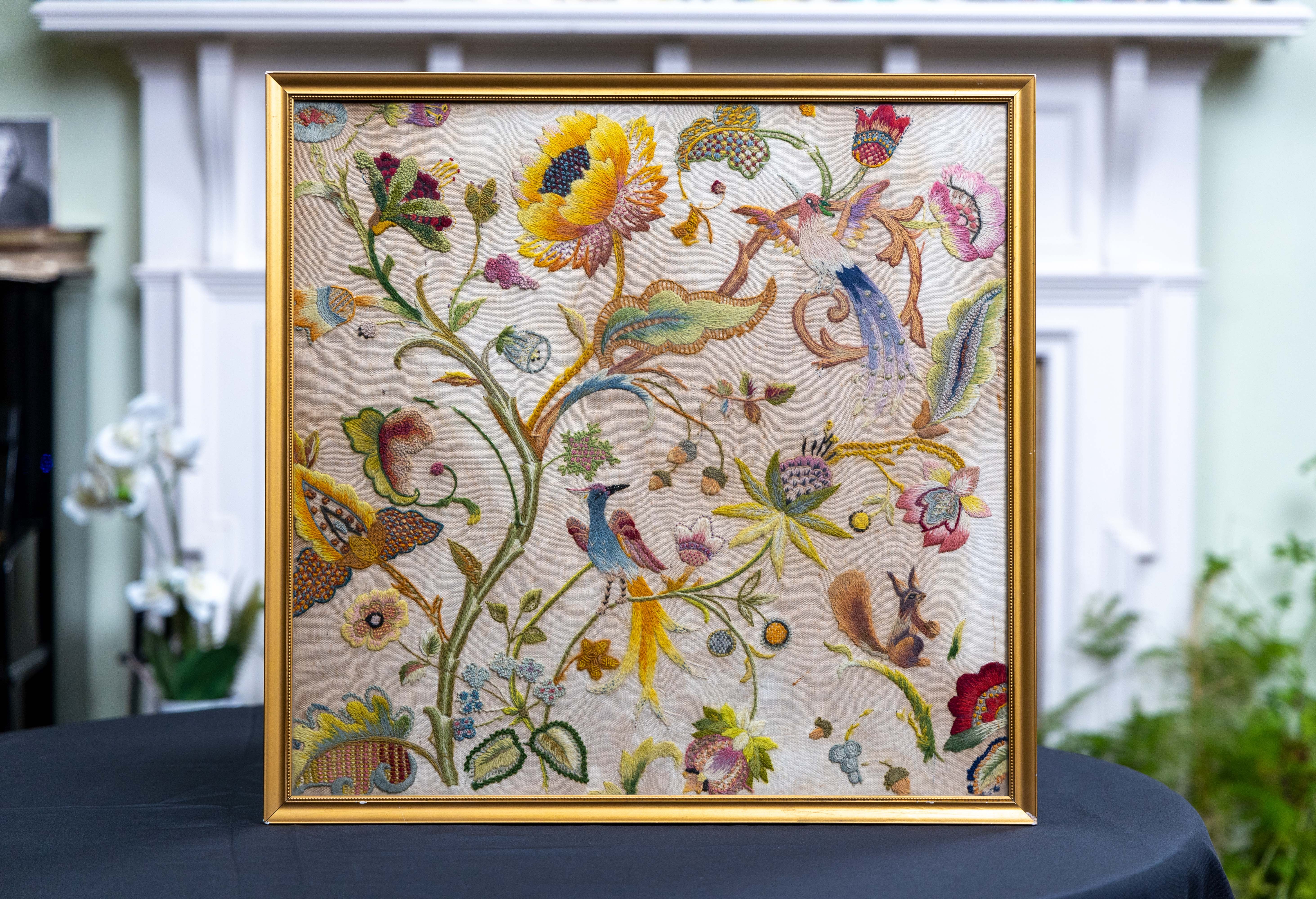 Two Birds & a Squirrel