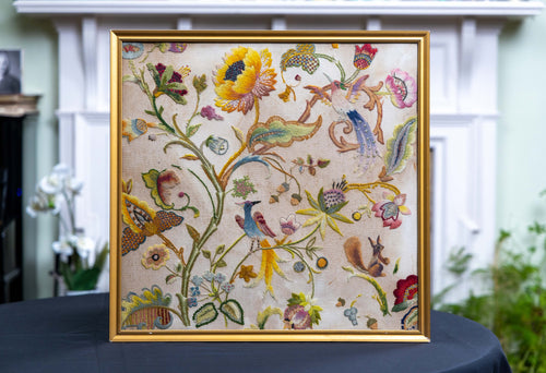 Two Birds & a Squirrel