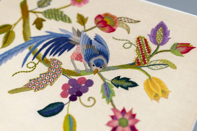 Advanced Class (PT23) - Blue Bird - 10-12 February 2026