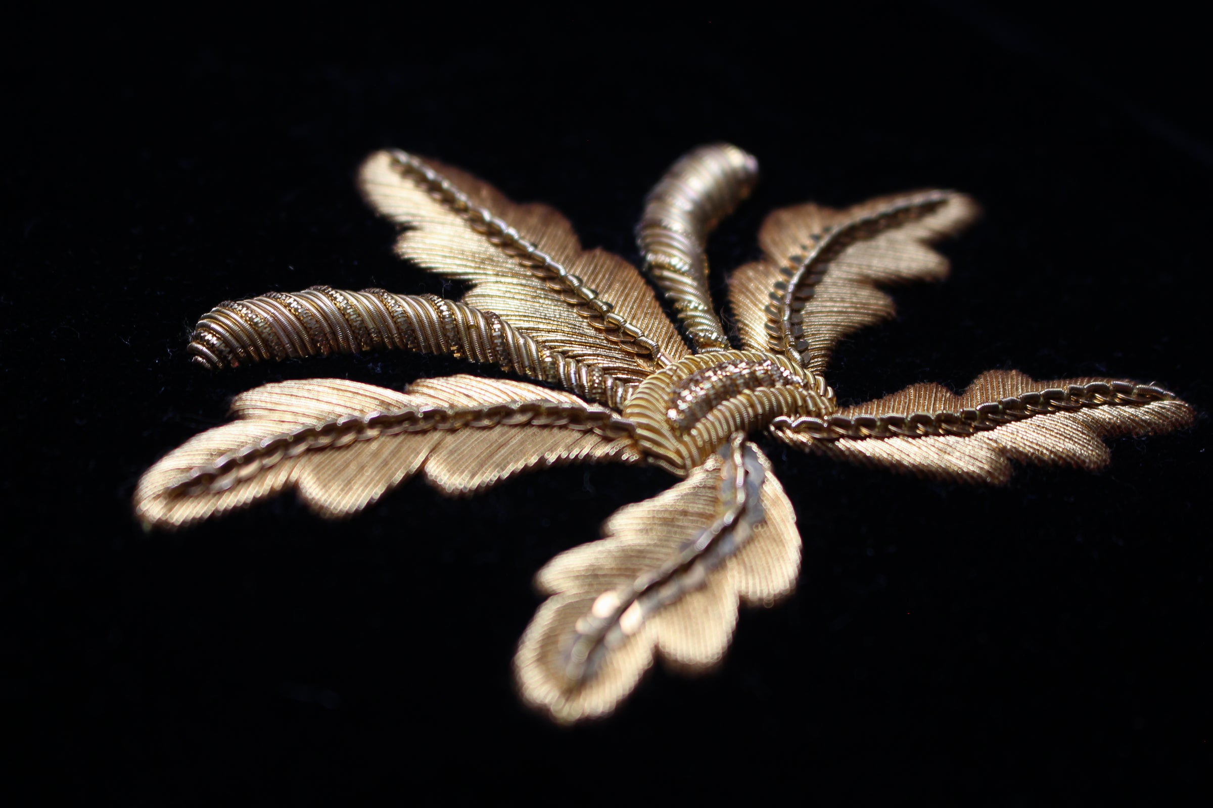 Lord of the Privy Council Goldwork - Festival Class with Lucy Martin - 7-8 February Zoom Recording